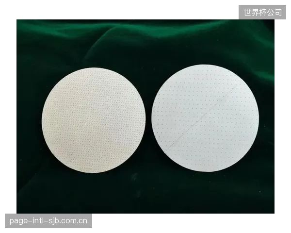 广州凤凰山体育公园声学改造完成，微穿孔共聚物隔音板应用验证了CBA转播的语言清晰度新基线